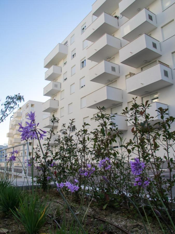 Luce Gold Apartment Zára Kültér fotó
